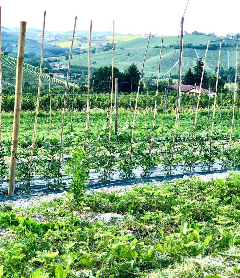 Miaclara Relais ξενώνας Άλμπα Εξωτερικό φωτογραφία
